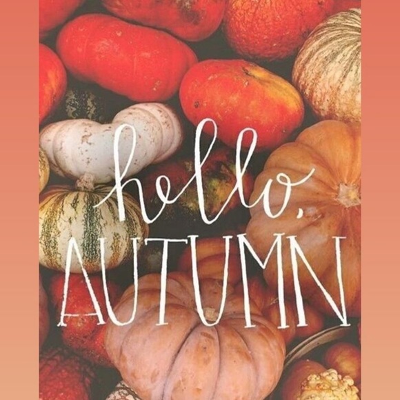 Meet your Posher, Jenna - Picture 1 of 1